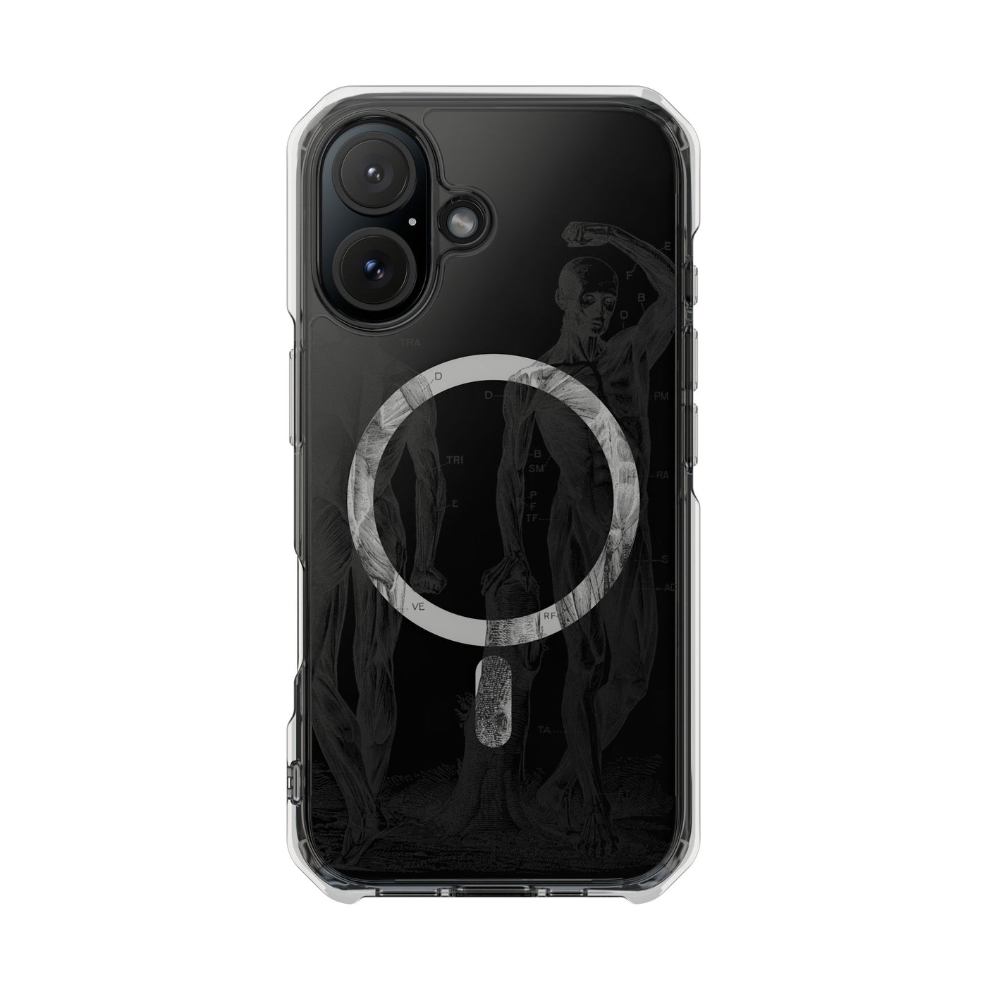 Phone Case:  Subtle Antique Skeletons Magnetic Clear Impact Case for iPhone